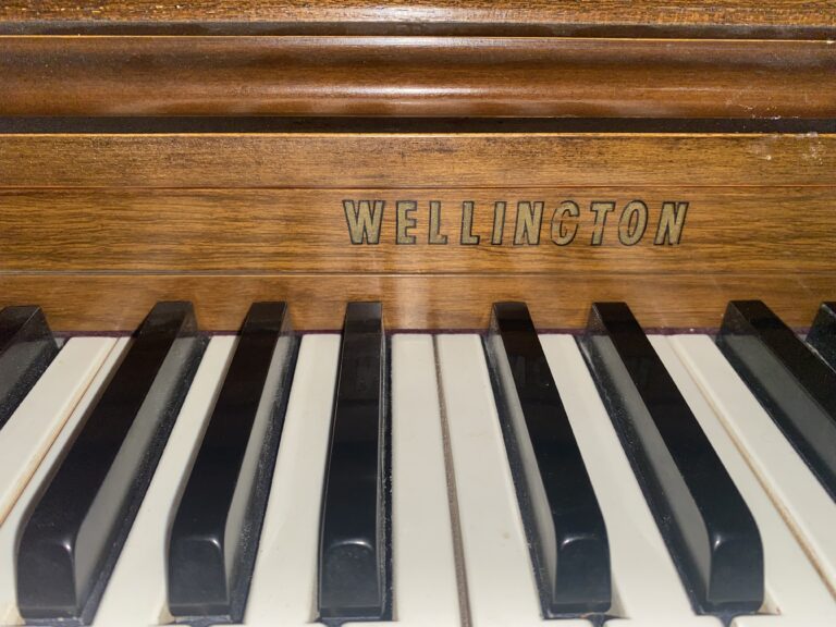 47246199 0995 4ABE 99DA 575E53A98E90 768x576