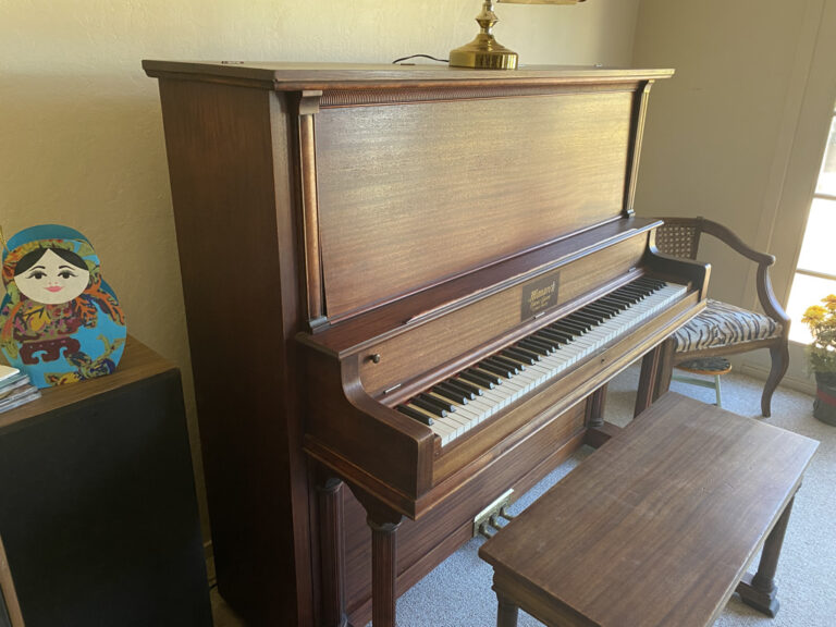 5068572F F818 4EED A6BE 221D23AC73C2 1 105 c 768x576