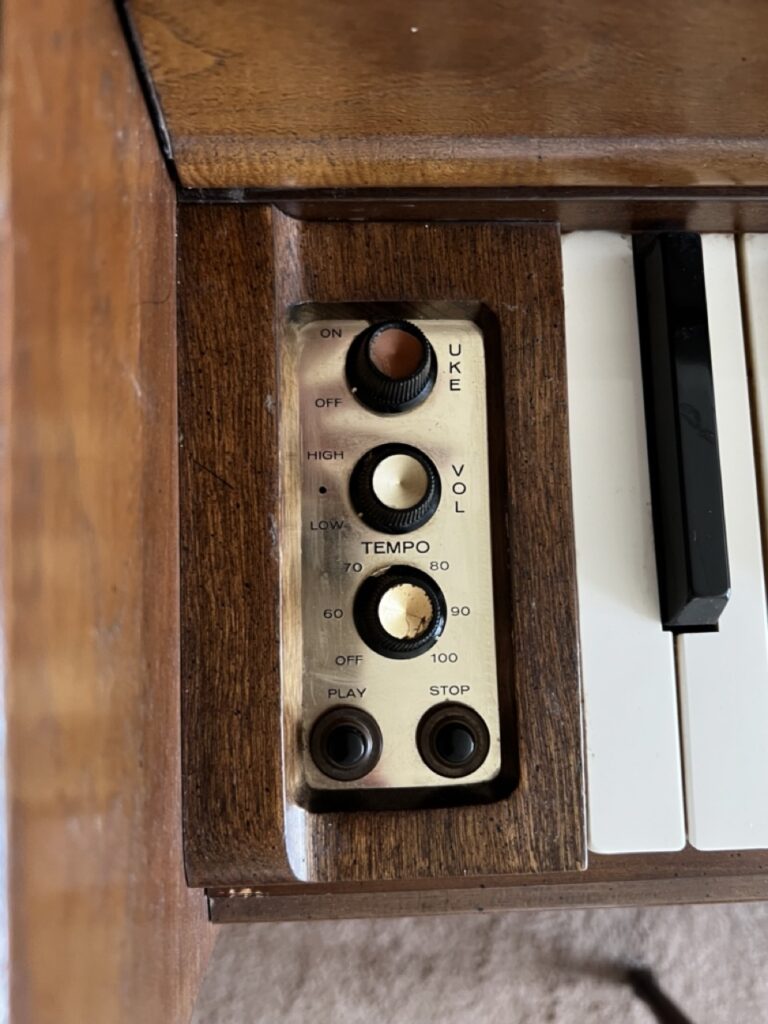 IMG 2053 Large 768x1024