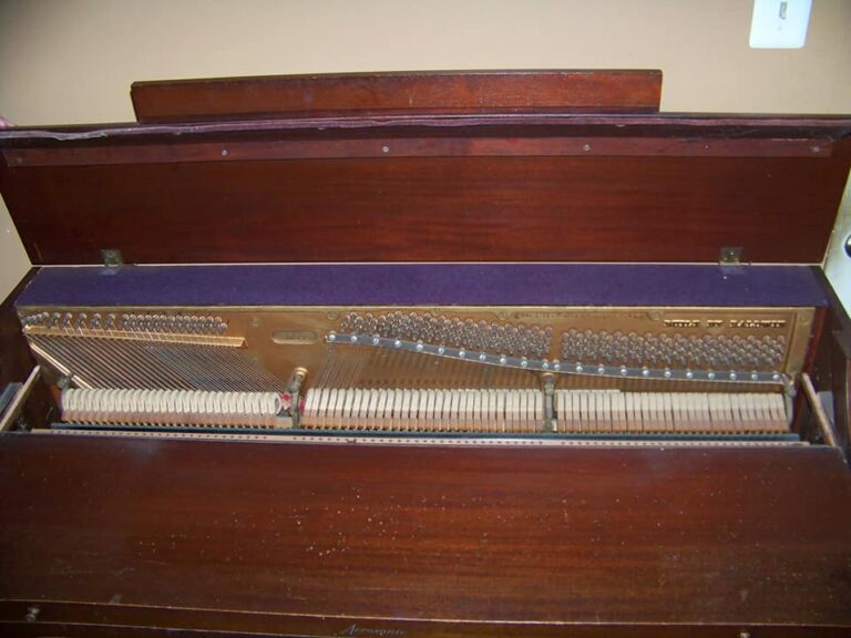 292737489 8845481962135898 2525185748093945705 n 768x576