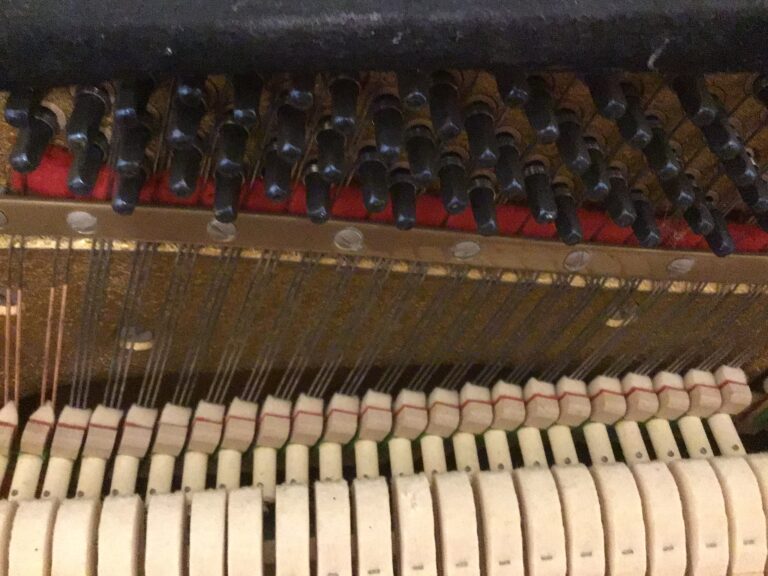 8C4226C4 8A31 490F BA81 4556BEE6B813 768x576