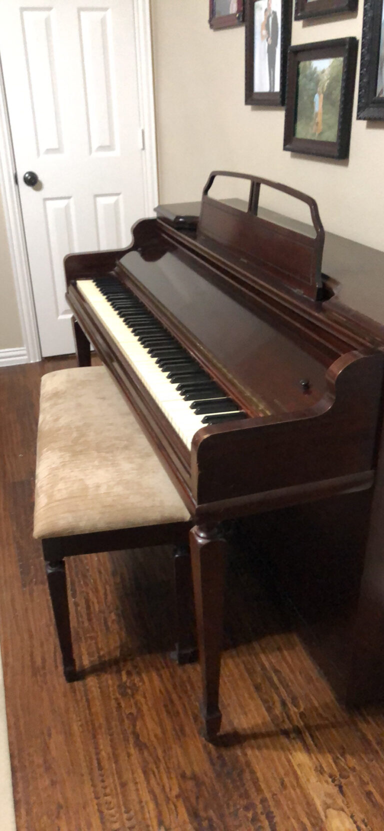 56457530 49CD 4B82 8E28 D522AD9AACBE 768x1662