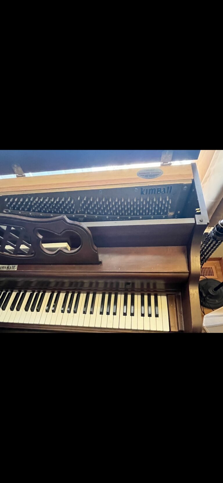 641C4D45 0842 4EA5 86EE 634A5057138F 768x1662