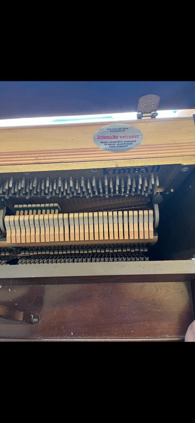 B1161B6F AC50 4E54 82E0 9561B694525A 768x1662