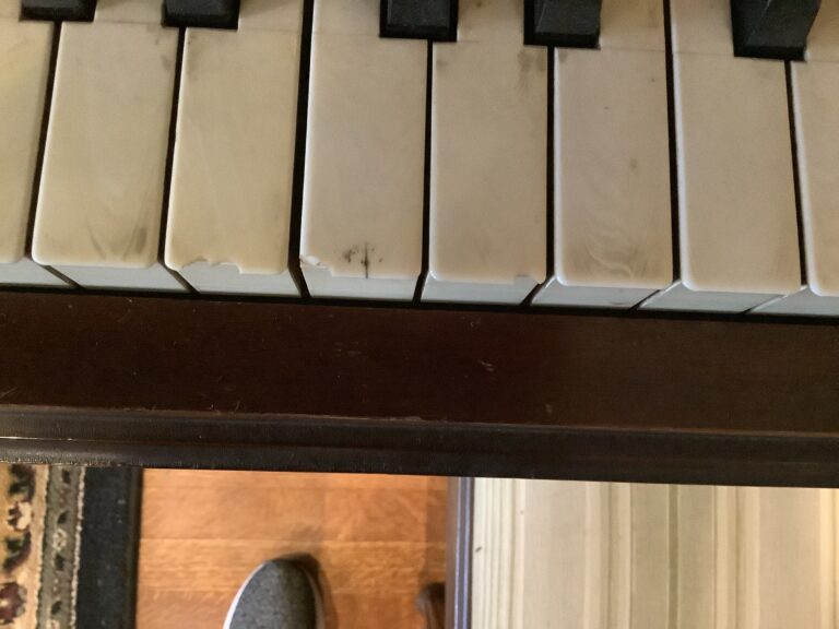 IMG 1991 768x576