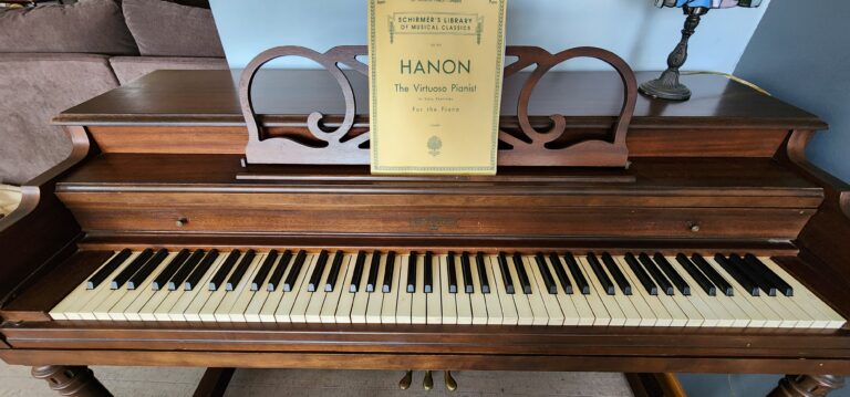 1000021613 1 768x359