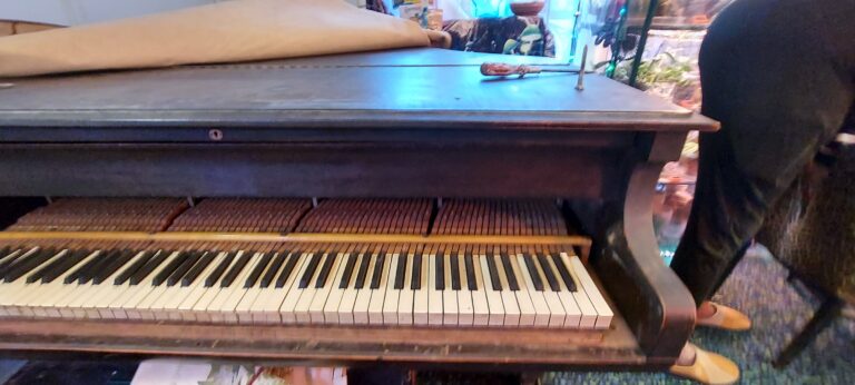 20240219 161737 resized Copy 768x346