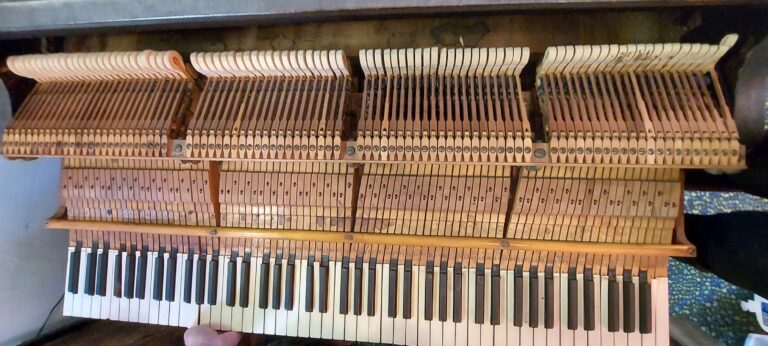 Weber Action Copy 768x346