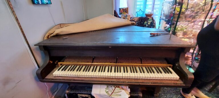 Weber Front Open Copy 768x346