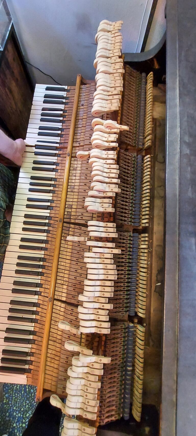 Weber Hammers Action 768x1707