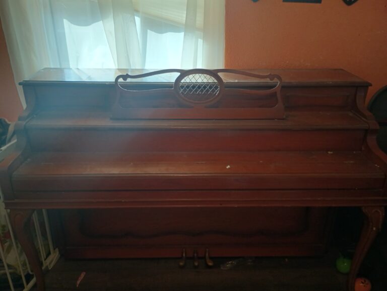 IMG 20240918 164511509 HDR 768x578