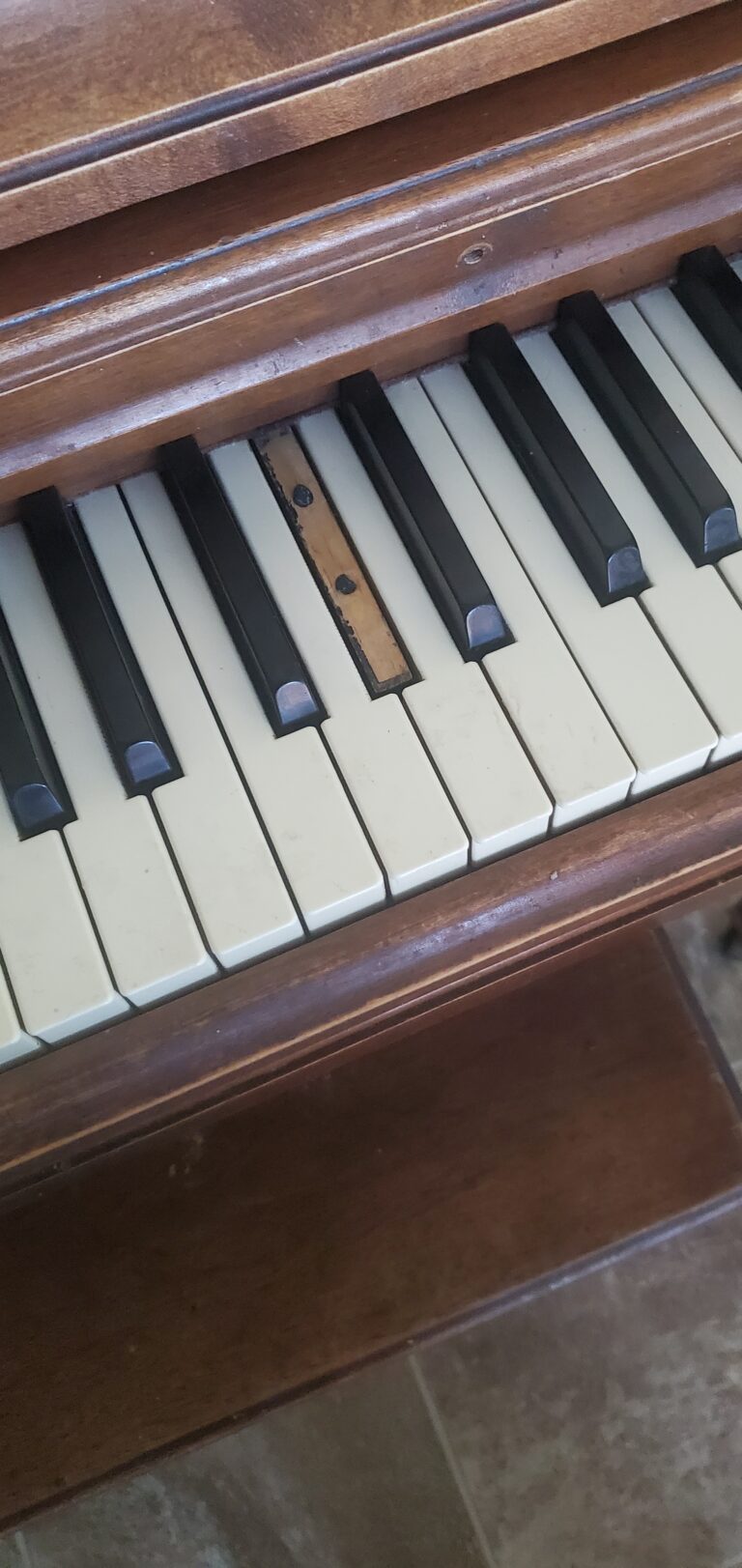 17288363428573356978975303802002 768x1623