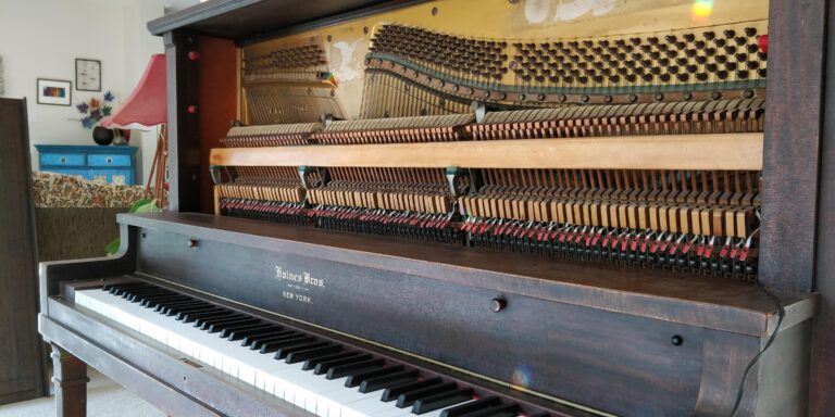 IMG 20190913 163551 768x384