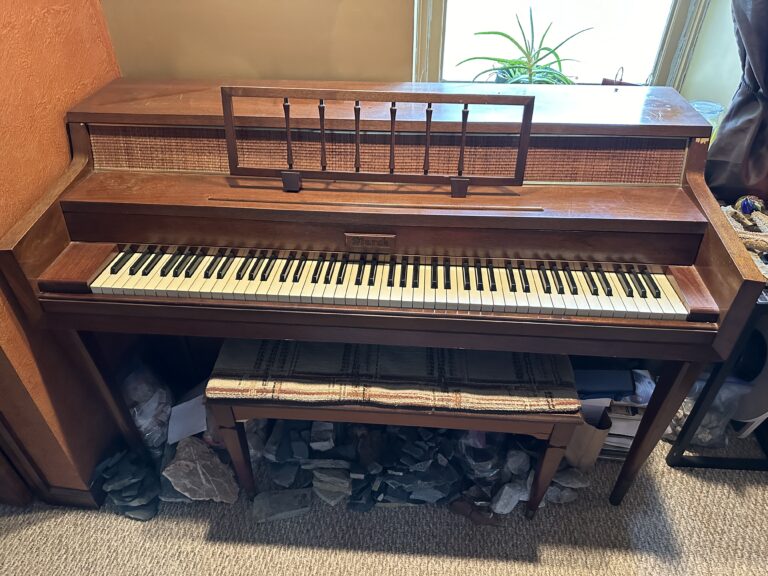 2024 10 29 14.23.57 768x576