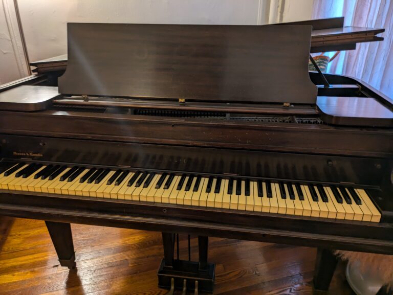 PXL 20240709 182555616.MP  768x577