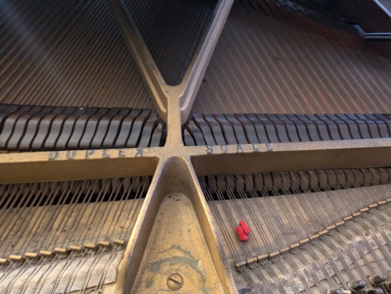 PXL 20240709 182714744 768x577