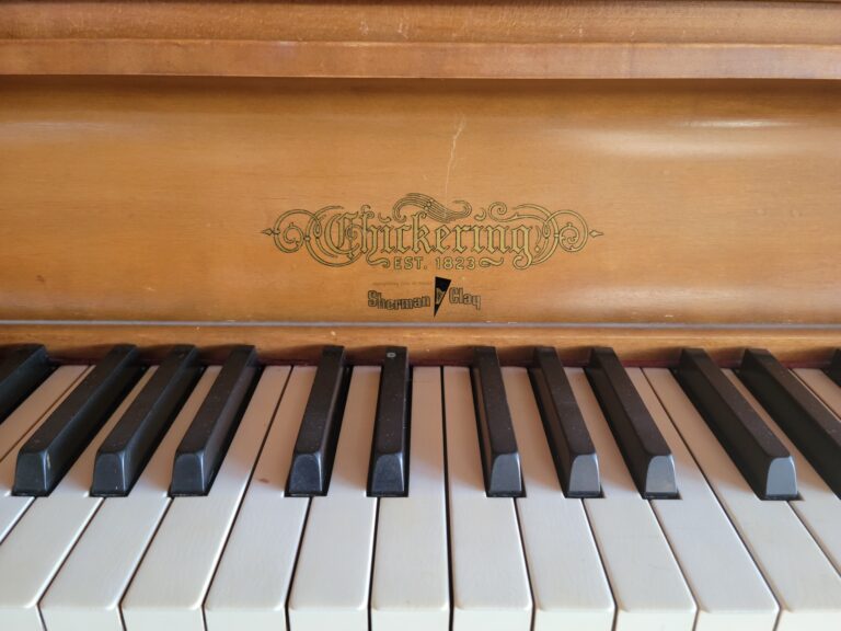 20230226 141725 2 768x576