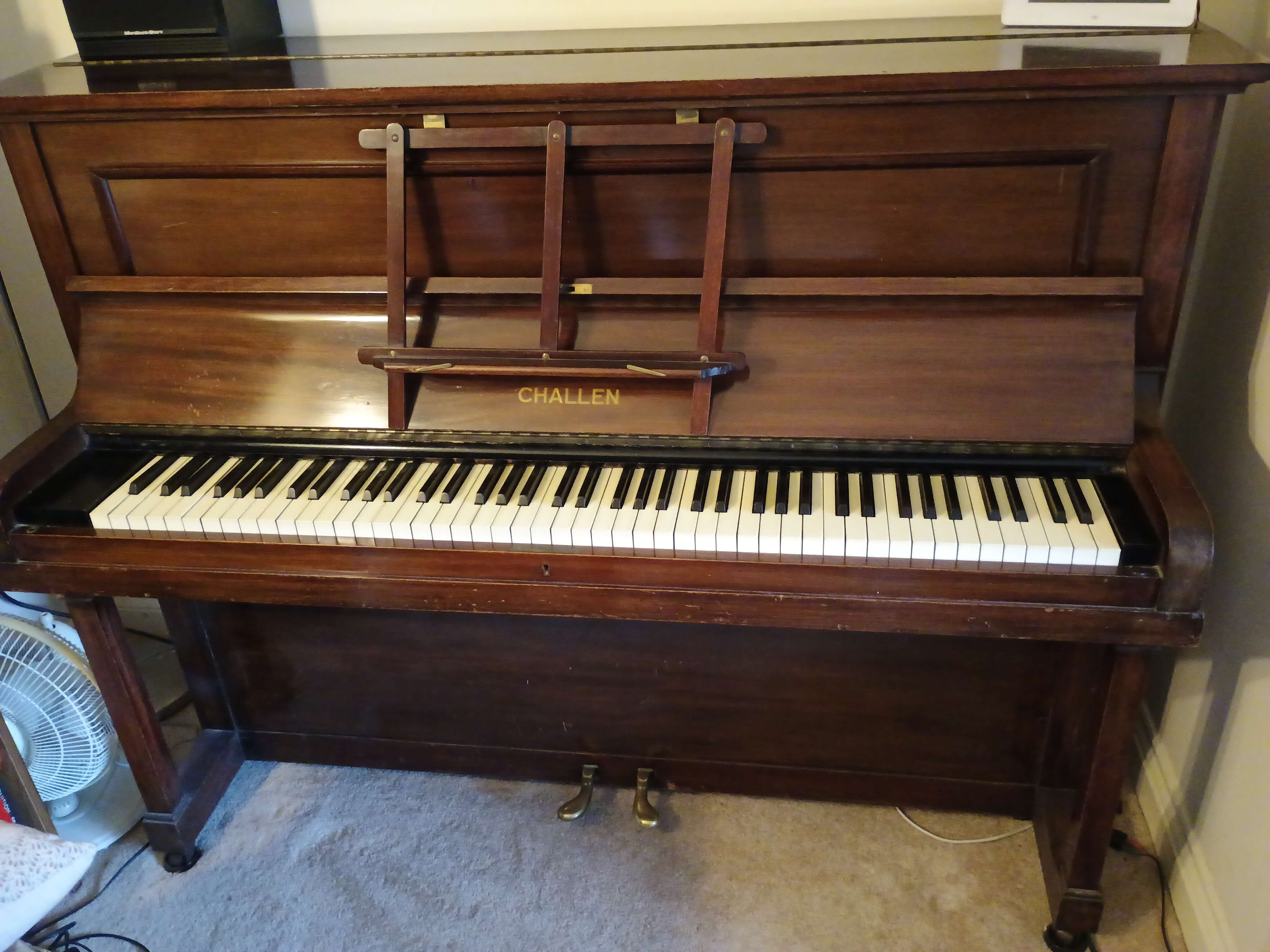 IMG 20260130 152944456 BURST000 COVER