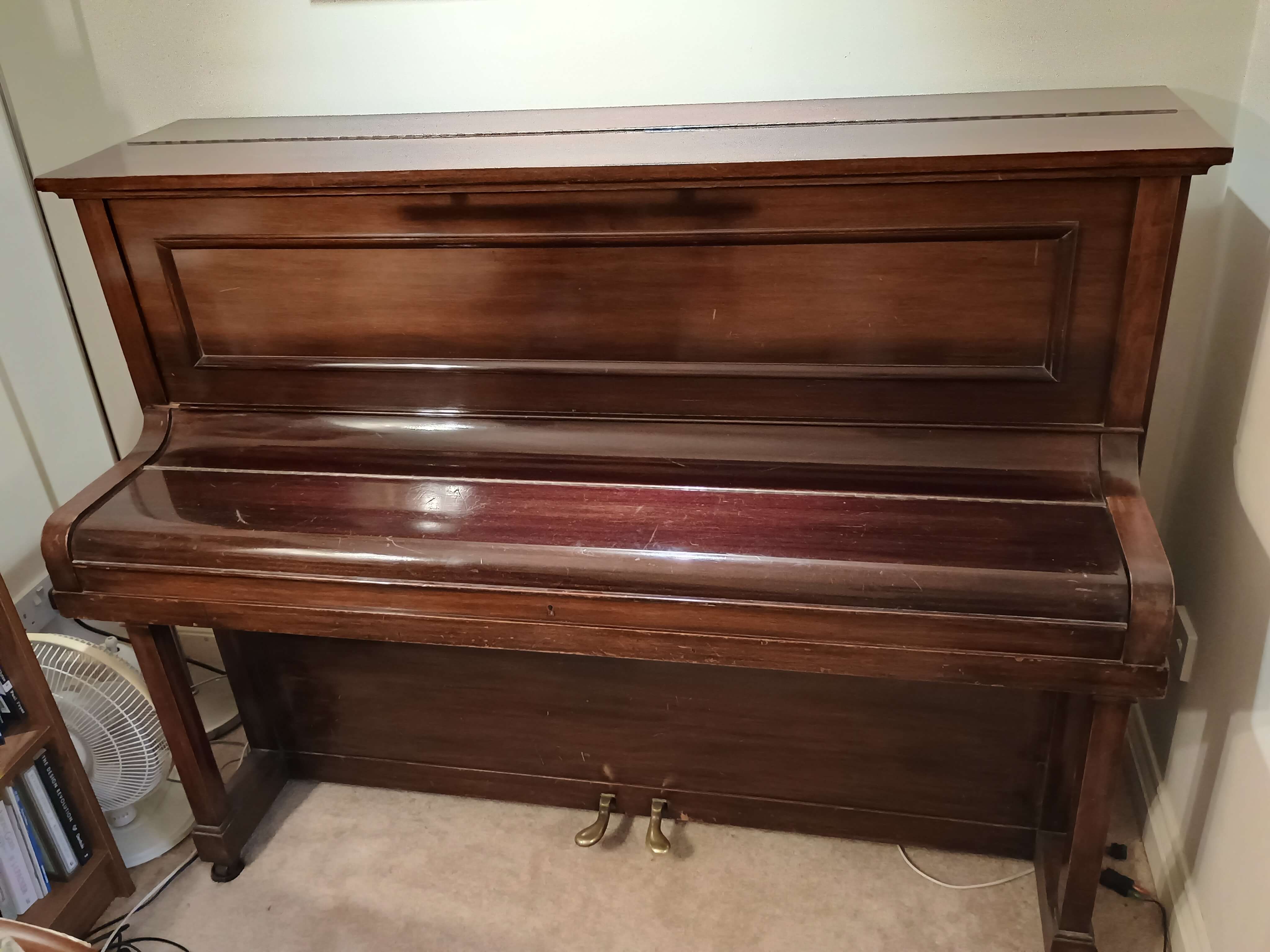 IMG 20260203 161440269 HDR