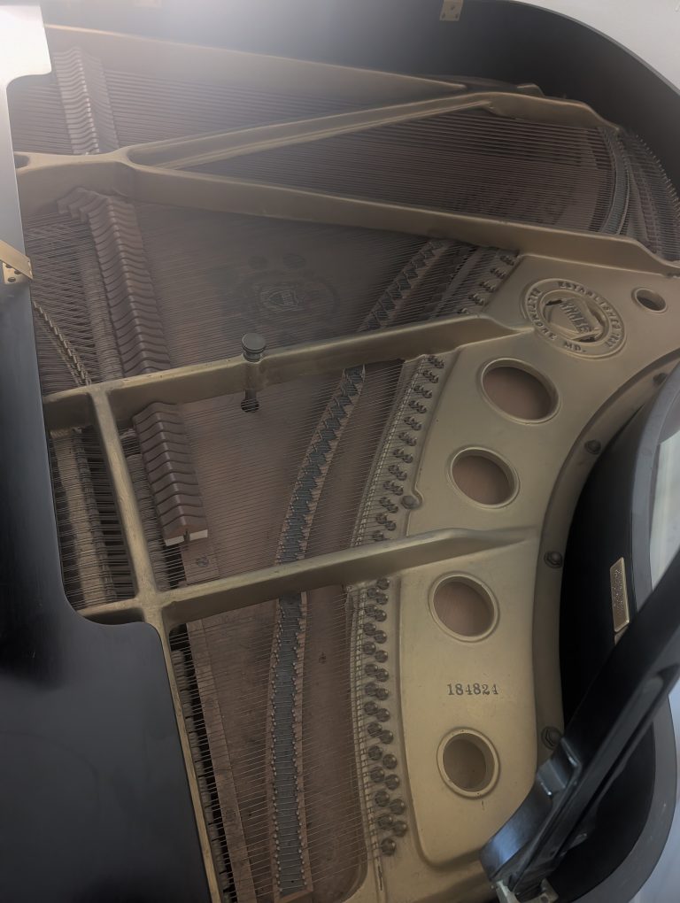 PXL 20260415 200335578.MP  768x1020