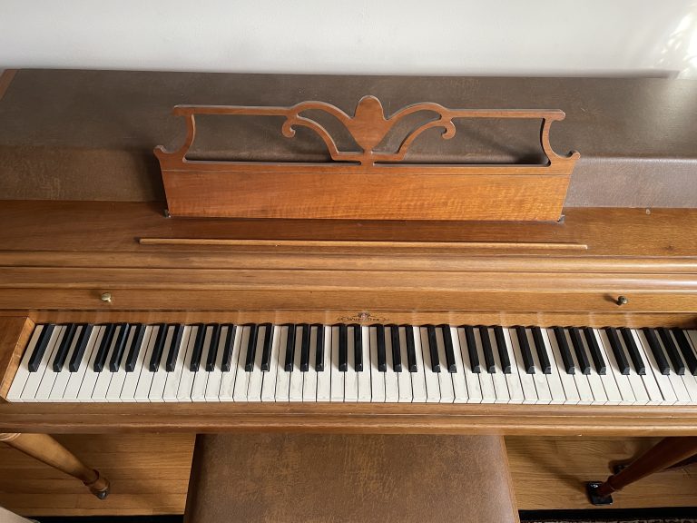 IMG 4059 768x576